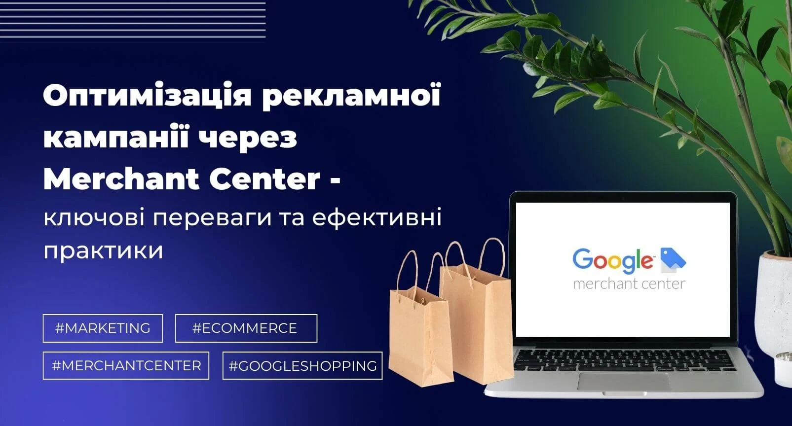Merchant Key Visual Merchant Center Optimization: Key Advantages & Practices